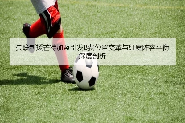 man-lian-xin-yuan-mang-te-jia-meng-yin-fa-fei-wei-zhi-bian-ge-yu-hong-mo-zhen-rong-ping-heng-shen-du-pou-xi-2-597.jpg